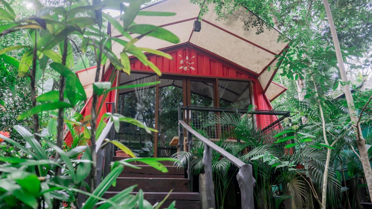 希图芒豪生态小屋旅馆 庞岸达兰 外观 照片