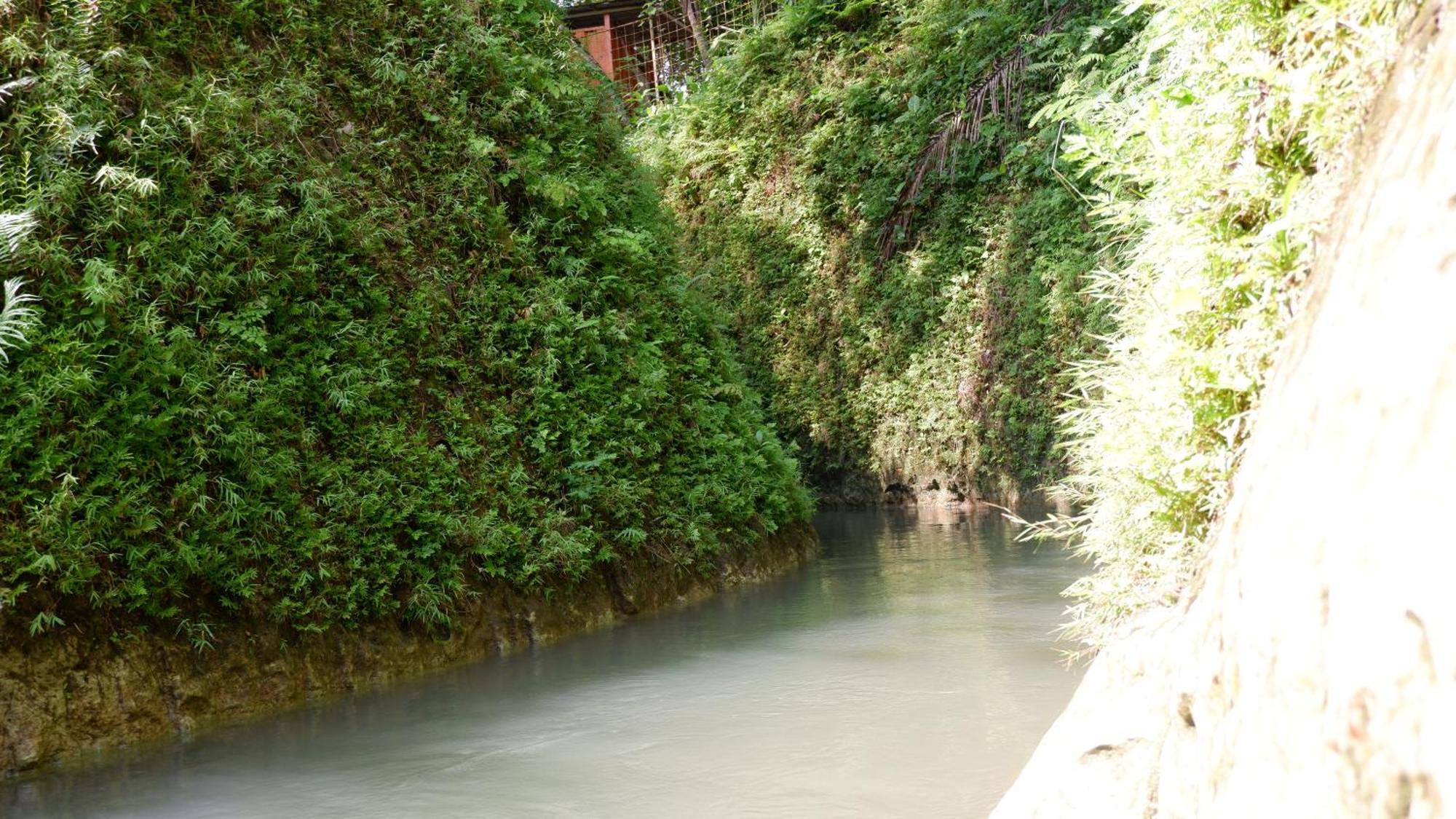 希图芒豪生态小屋旅馆 庞岸达兰 外观 照片