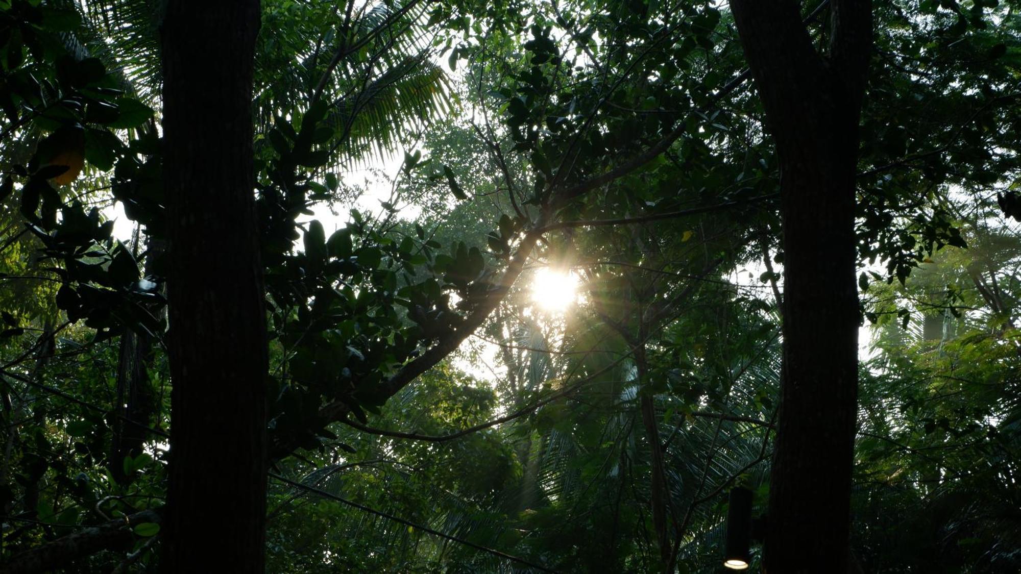 希图芒豪生态小屋旅馆 庞岸达兰 外观 照片
